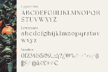 Grapevine font