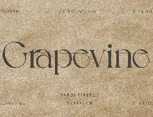 Grapevine font