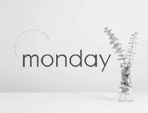 Monday Sans font