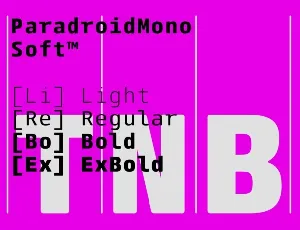 ParadroidMono Soft Family font