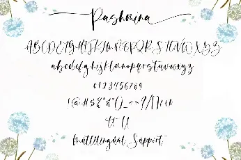 Pashmina Handwritten Script font