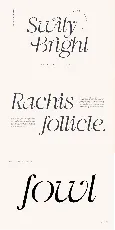 Swily Bright font