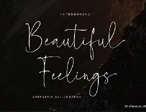 Beautiful Feelings font