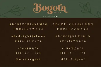 Bogota Bold Elegant Serif font