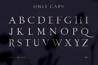 Loki Typeface font