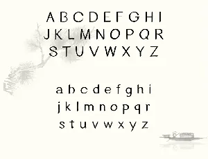 YANG Typeface font