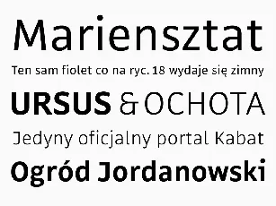 Rewir Typeface font