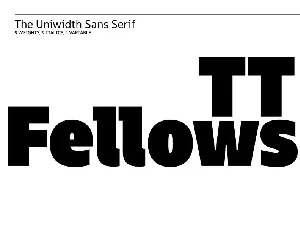 TT Fellows Family font