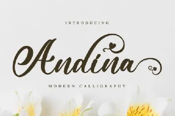 Andina font