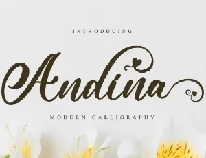 Andina font