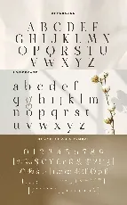 Amiora font