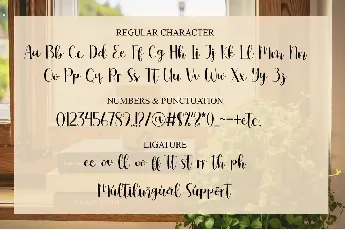 Fellove - Personal use font