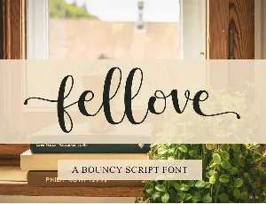 Fellove - Personal use font