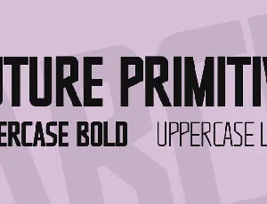 Future Primitive font