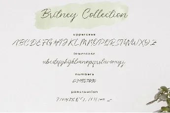 Britney Collection Handwritten Script font