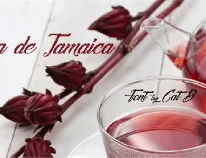 Agua De Jamaica font