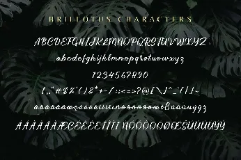 Brillotus font