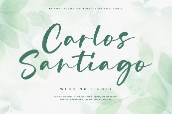 Bridget – Modern Script font