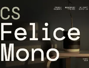 CS Felice Mono font