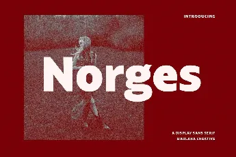 Norges font