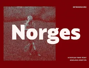 Norges font