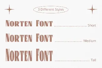 Norten font