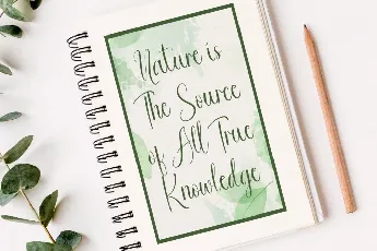 Good Nature Demo font