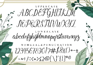 Baybe Evaline font