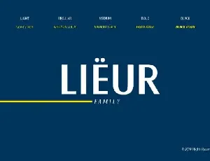 Lieur Sans Serif Family font