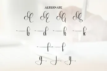 Calligraphy Script Typeface font