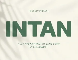 Intan font