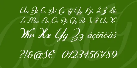 Selya font