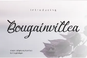 Bougainvillea font