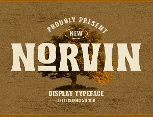 Norvin font