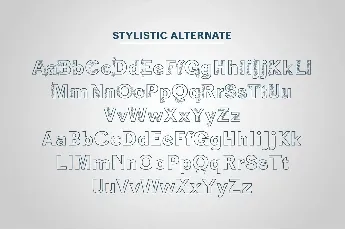 Ziclose font