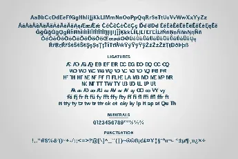 Ziclose font