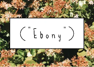 Ebony font