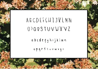 Ebony font