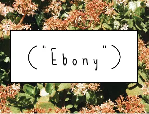 Ebony font