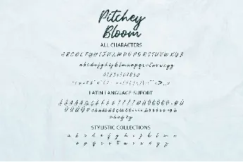 Pitchey Bloom Brush Script font