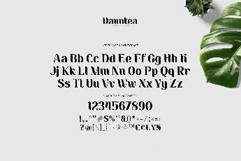 Dauntea font