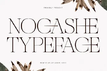 Nocashe font