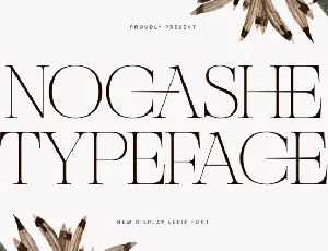 Nocashe font