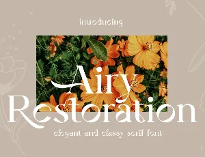 Airy Restoration font