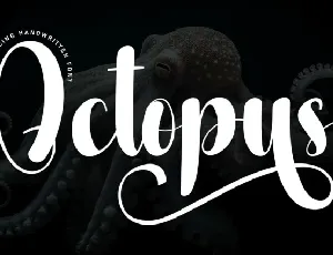 Octopus Script Typeface font