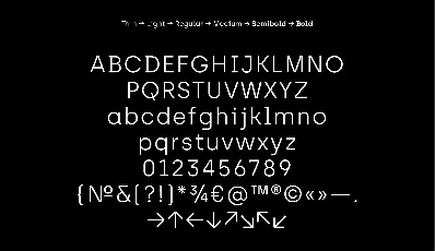 Archia Family font