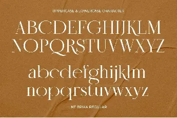 NT Epika font