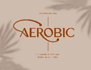 Aerobic font