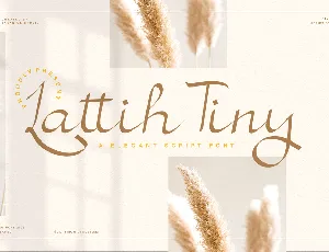 Lattih Tiny font