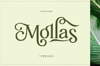 Mollas Serif font